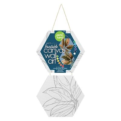 mini hexagon canvases wall art on rope 2-pack