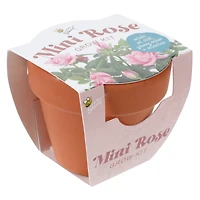 Mini Potted Plant Grow Kit - Mini Rose