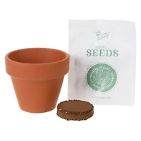 Mini Potted Plant Grow Kit - Mini Rose