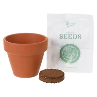 mini potted plant grow kit