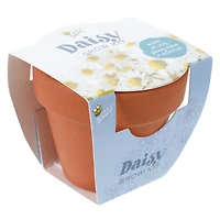 Mini Potted Plant Grow Kit - Daisy