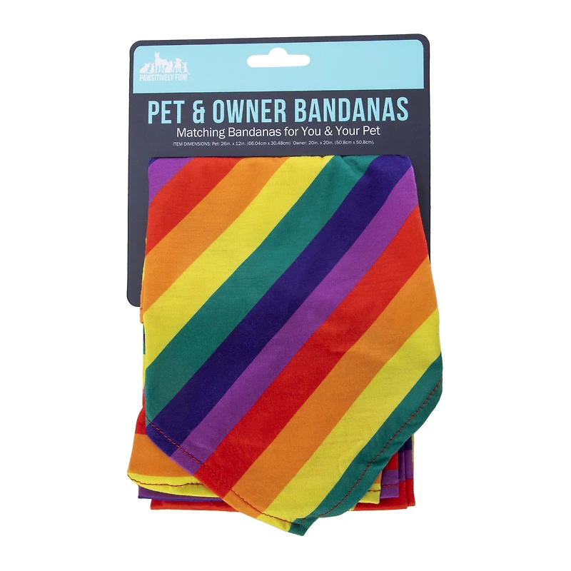 matching pet & owner holiday beanie hats set