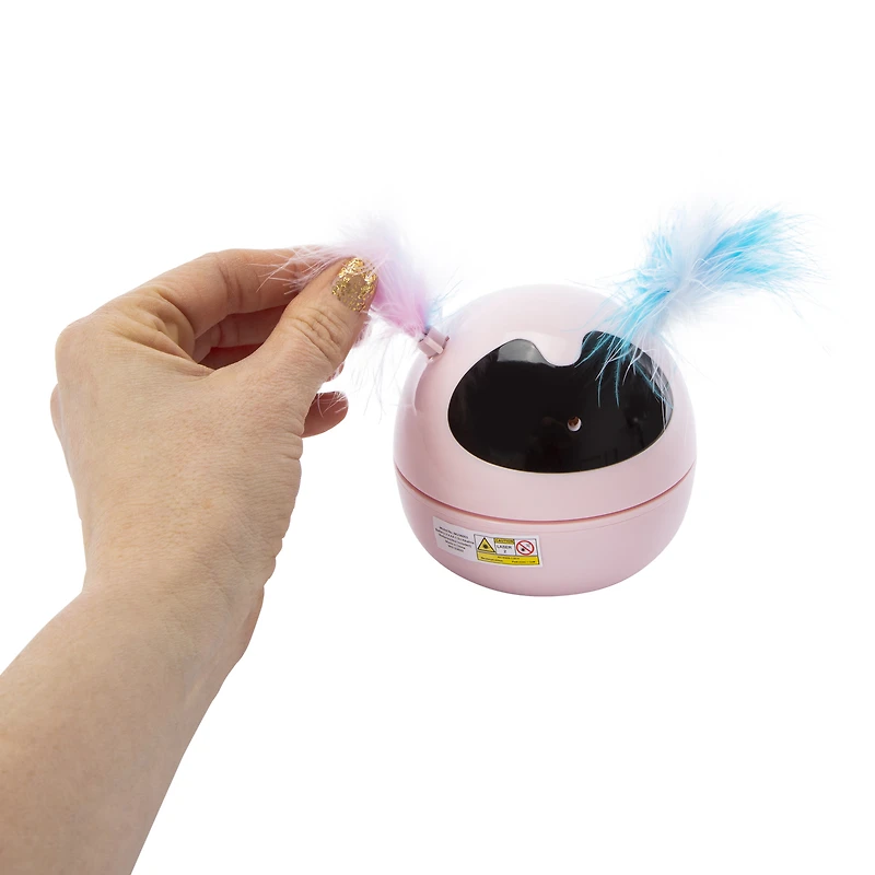 laser teaser interactive cat toy