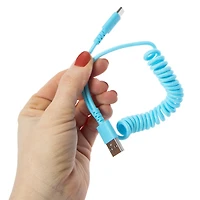 4ft USB-C Coil Cable