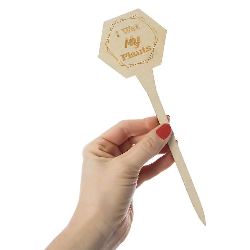 Plywood Funny Garden Stakes 4-Count