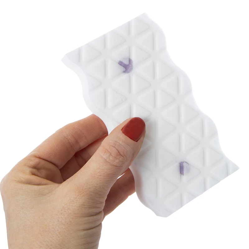 mr. clean® magic eraser 2-pack