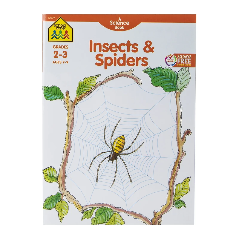school zone® insects & spiders science workbook