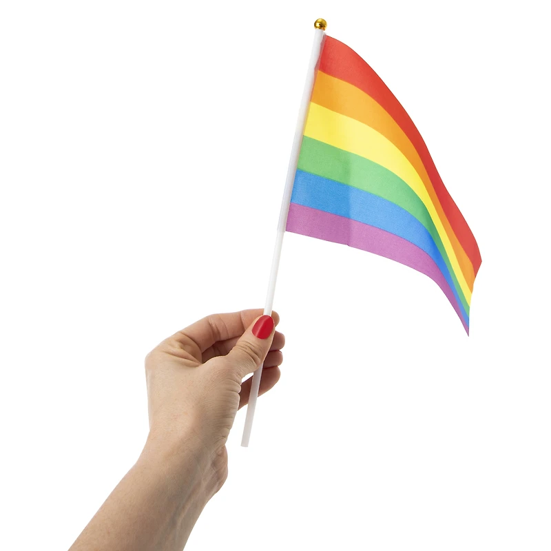 mini rainbow pride flag 8.2in x 11.8in