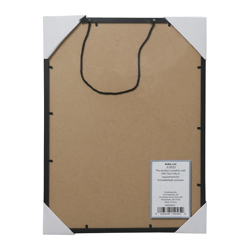 framed art print 16in x 12in