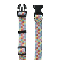 rainbow checker pet collar
