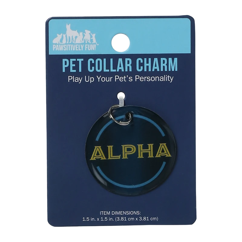 pet collar charm