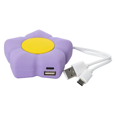 Dual Port USB & USB-C Novelty Portable Rechargeable Power Bank 2100mAh