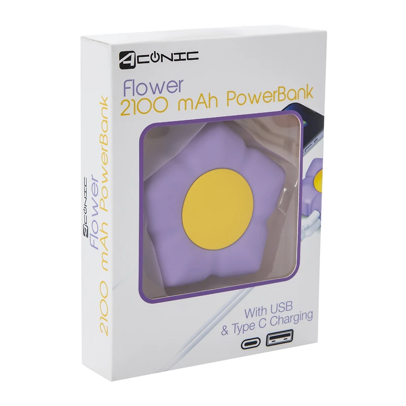 Dual Port USB & USB-C Novelty Portable Rechargeable Power Bank 2100mAh