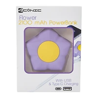 Dual Port USB & USB-C Novelty Portable Rechargeable Power Bank 2100mAh