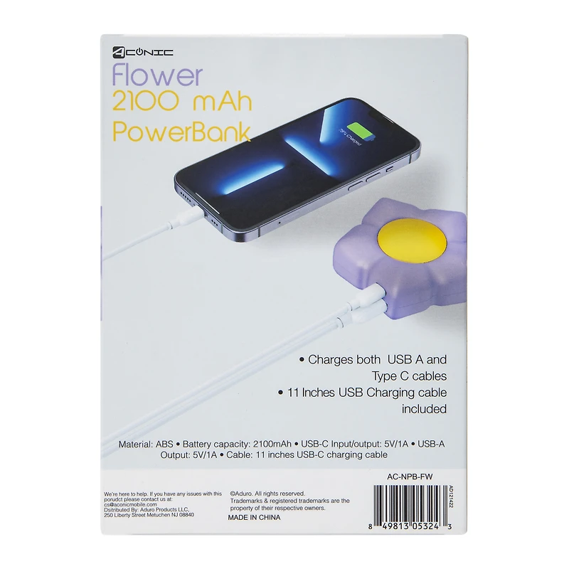 Dual Port USB & USB-C Novelty Portable Rechargeable Power Bank 2100mAh