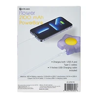 Dual Port USB & USB-C Novelty Portable Rechargeable Power Bank 2100mAh