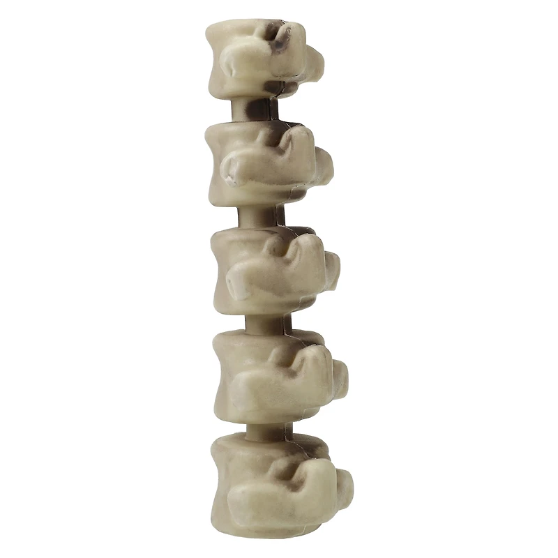 halloween skeleton bone decor