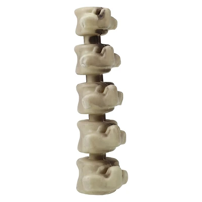 halloween skeleton bone decor