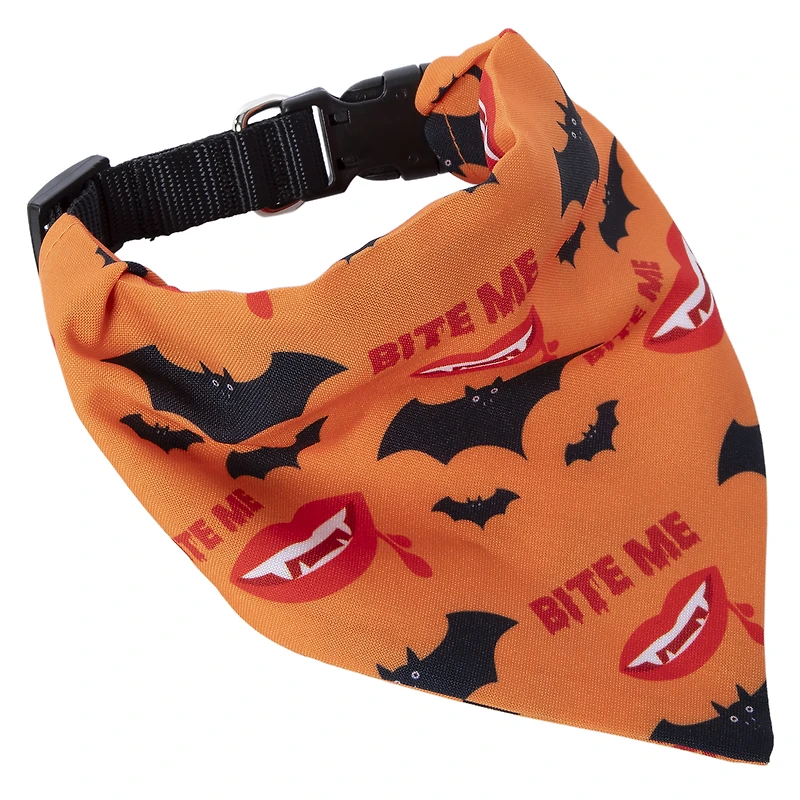 'basic witch' halloween pet collar & bandana set