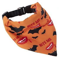 'basic witch' halloween pet collar & bandana set