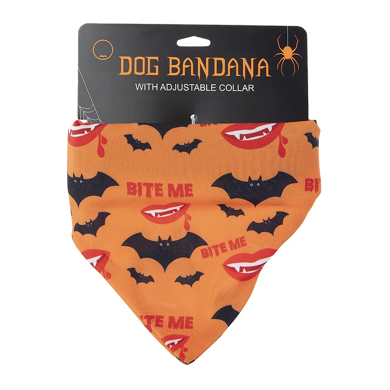 'basic witch' halloween pet collar & bandana set