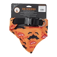 'basic witch' halloween pet collar & bandana set