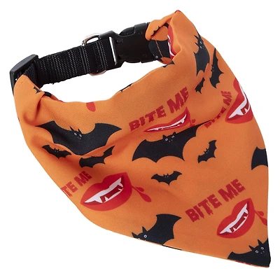 'basic witch' halloween pet collar & bandana set