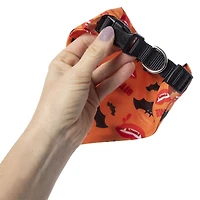 'basic witch' halloween pet collar & bandana set