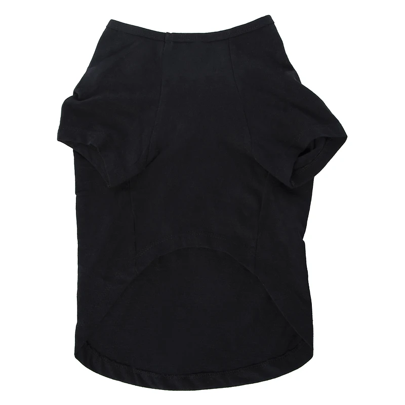 'little pumpkin with a lot of spice' fall pet tee