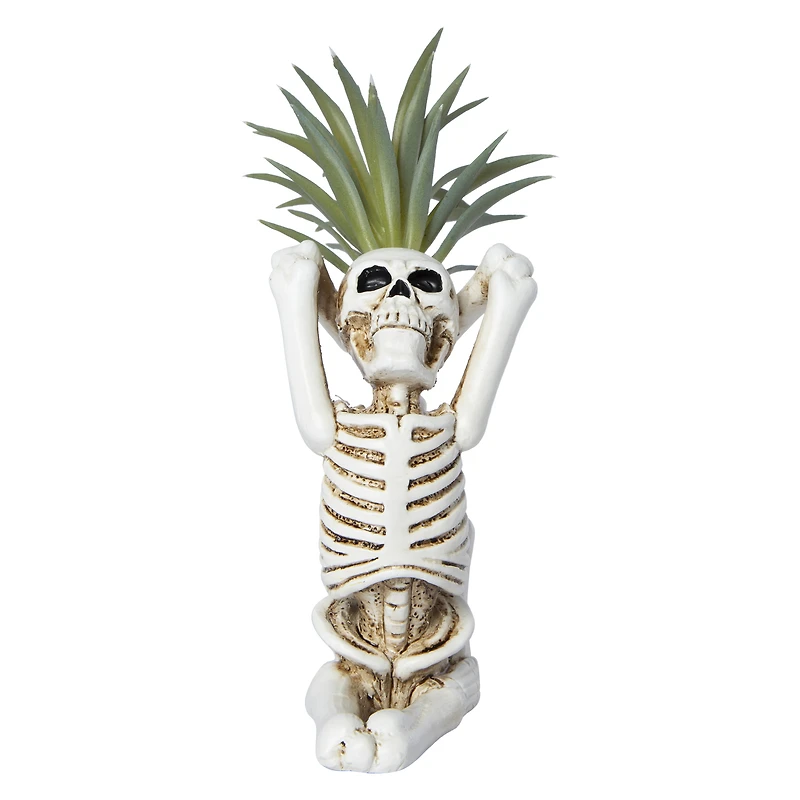 yoga skeleton faux succulent decoration