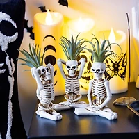 yoga skeleton faux succulent decoration