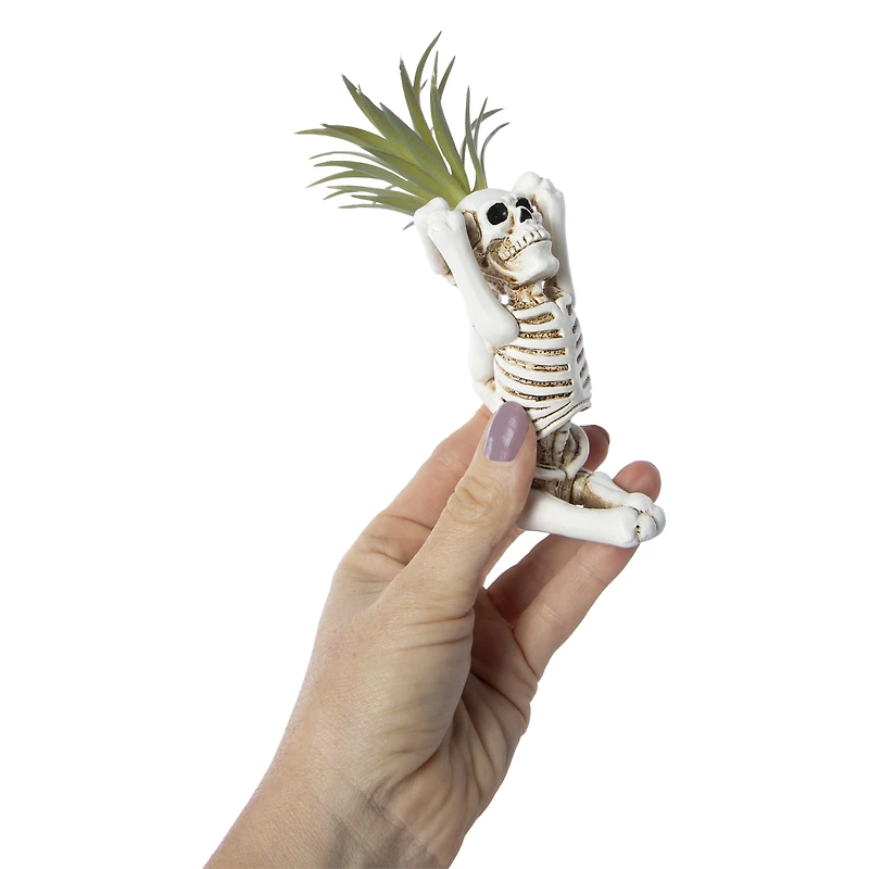 yoga skeleton faux succulent decoration