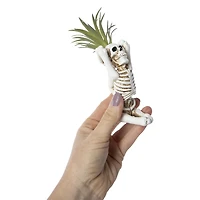 yoga skeleton faux succulent decoration