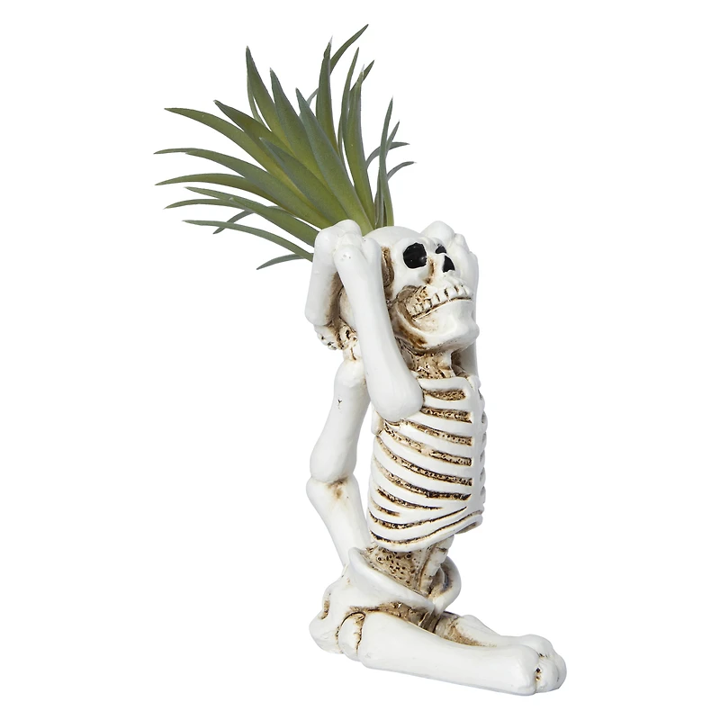 yoga skeleton faux succulent decoration