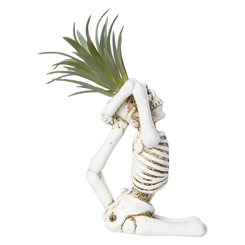 yoga skeleton faux succulent decoration