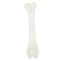 halloween glow-in-the-dark femur bone