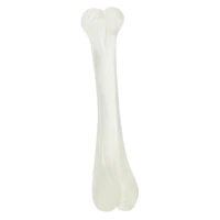 halloween glow-in-the-dark femur bone