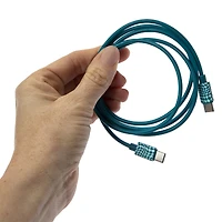 4ft Printed USB-C Cable