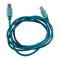 4ft Printed USB-C Cable