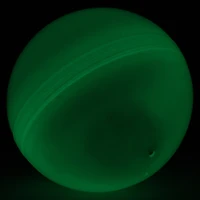 Glow The Dark Rolling Ball Toy With Hamster