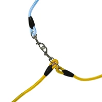 hands-free dog leash 79in