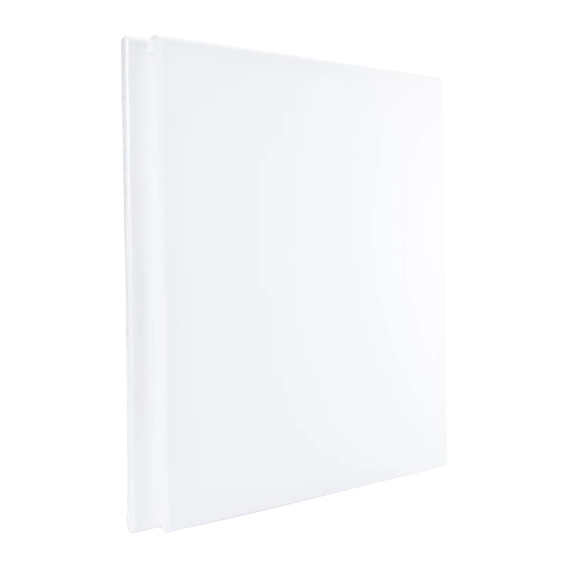 16in x 20in stretched canvas 2-count