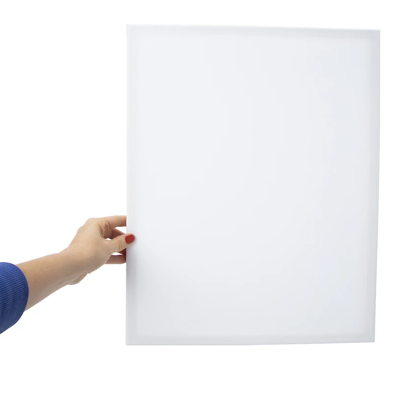 16in x 20in stretched canvas 2-count