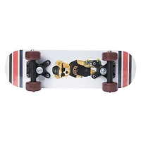 printed skateboard 17in