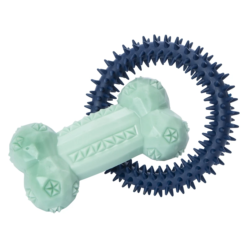 rubber chew dog toys 2-pack