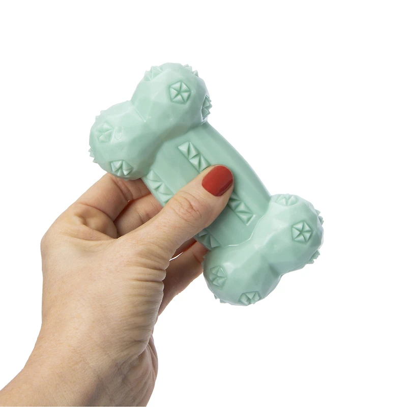 rubber chew dog toys 2-pack