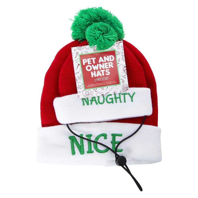 matching pet & owner christmas beanie hats set