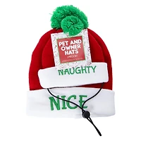 matching pet & owner christmas beanie hats set