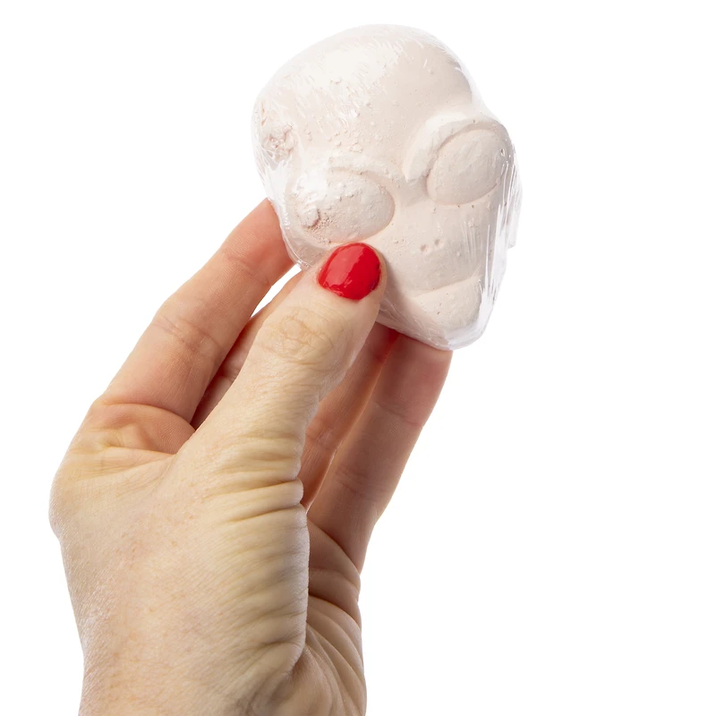 Dig Team® Mystery Kit