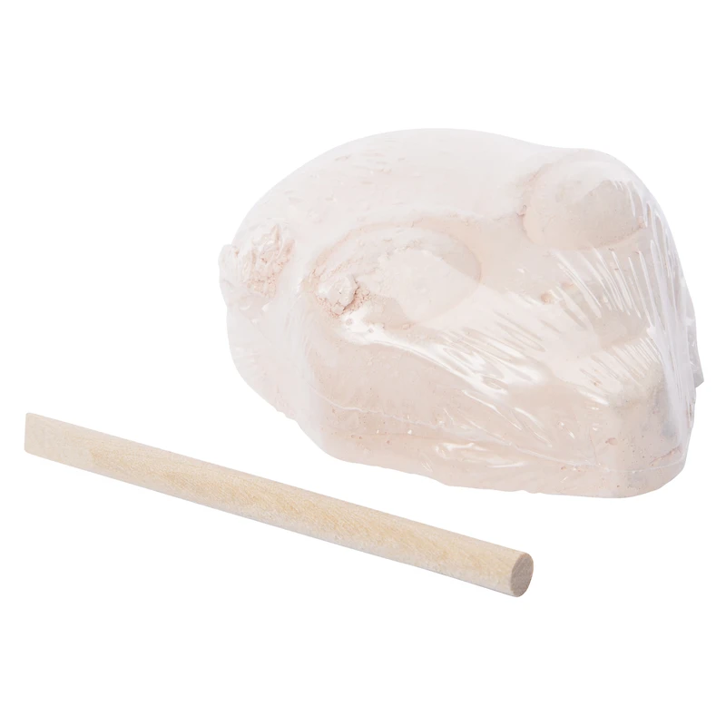 Dig Team® Mystery Kit